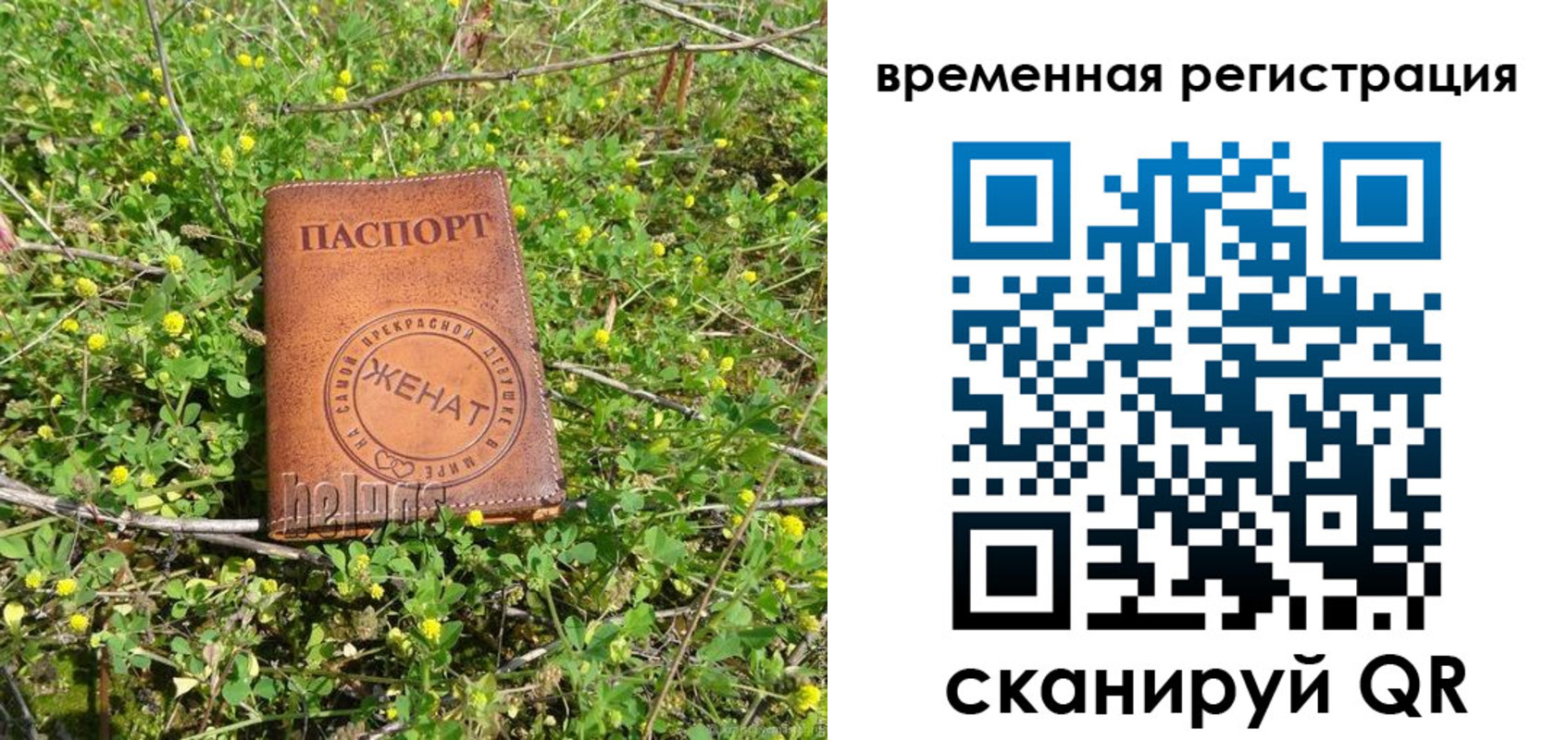 прописка регистрация в Егорьевске